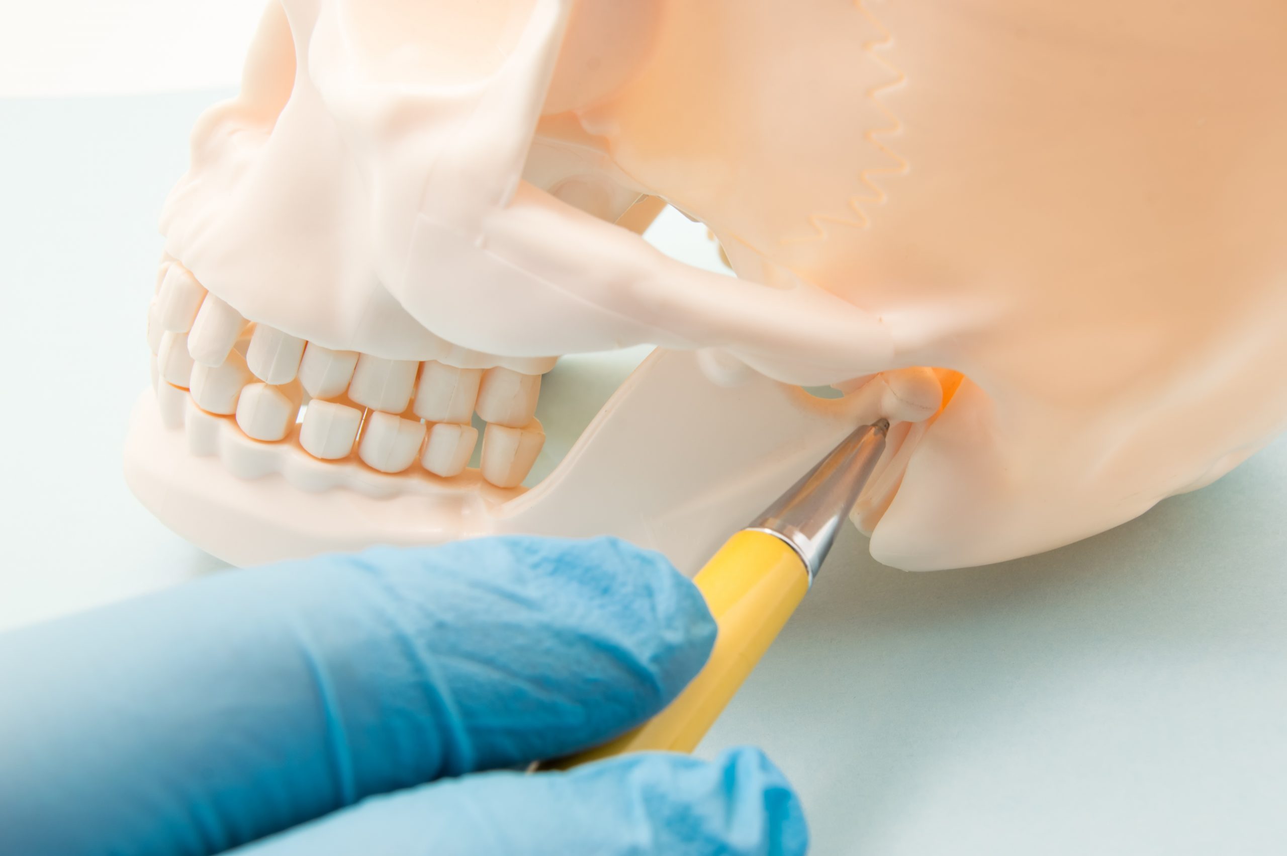 Temporomandibular joint (TMJ, joint of the lower jaw) and the ear canal. The physician indicates on the mandibular joint or human ear bone canal as the source of the symptom, pain or illness