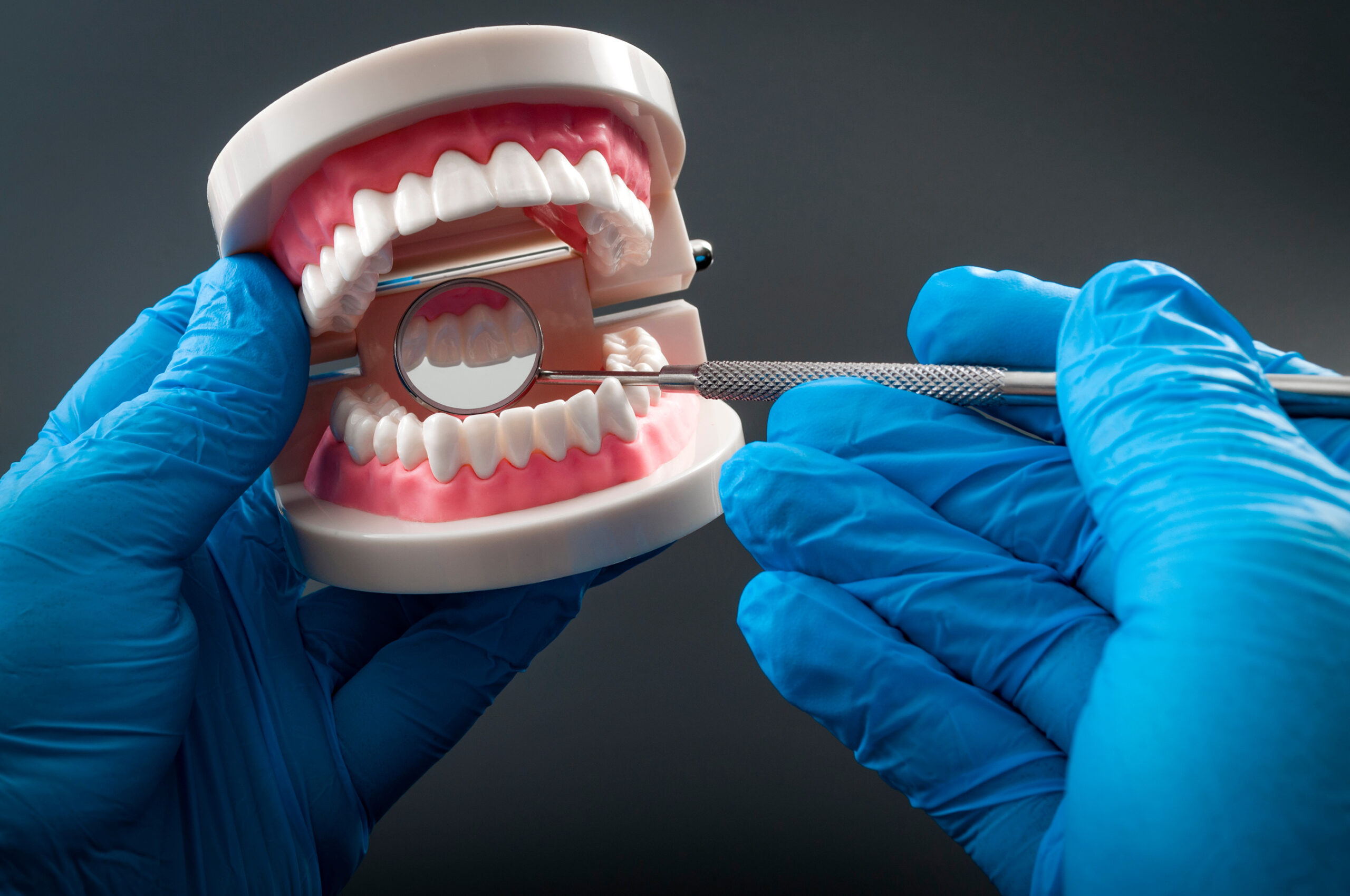 Stomatology appointment, dentistry instruments and dental hygienist checkup concept with dentist wearing latex gloves, teeth model dentures, mouth mirror. Regular checkups are essential to oral health